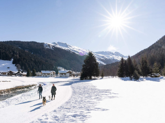 Winterwandern-mit-Hund-C-CarmenWenger-3
