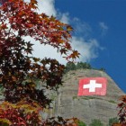 4_Vitznau_Fahne_wvrt