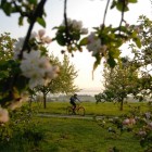 (c)Thurgau_Tourismus_thurgau-pilgerroute-1