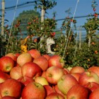 (c)Thurgau_Tourismus_tgt-4