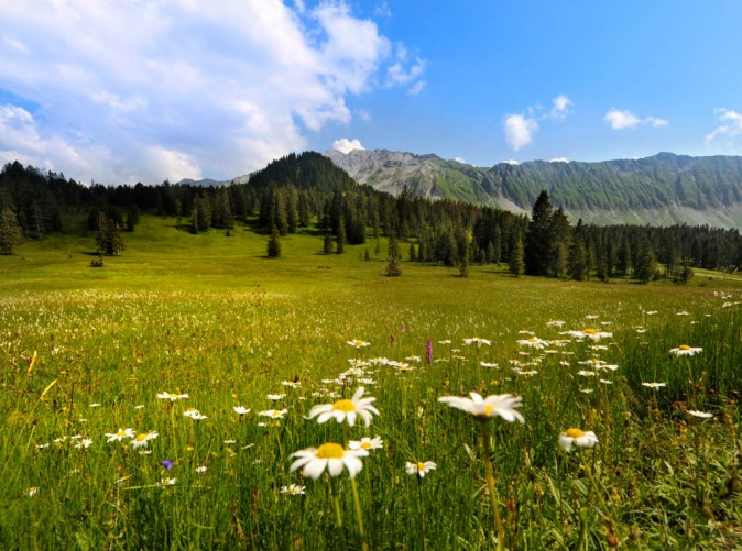 41(c)LuzernTourismus