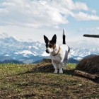 90_Zuerichsee_Pfaeffikon