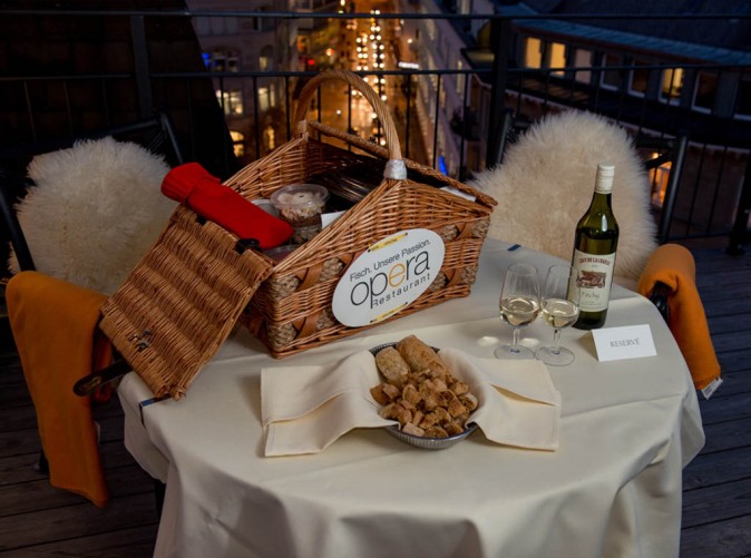 3_Winterpicknick_Ambassador