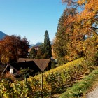 3_Spiez_FVA_Interlaken