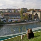 Bern_Bärenpark
