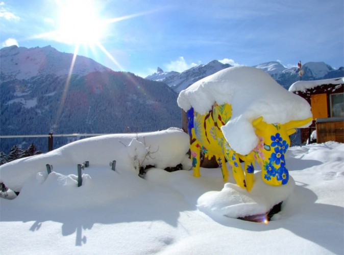 Kuh_Aussicht_Bellevue