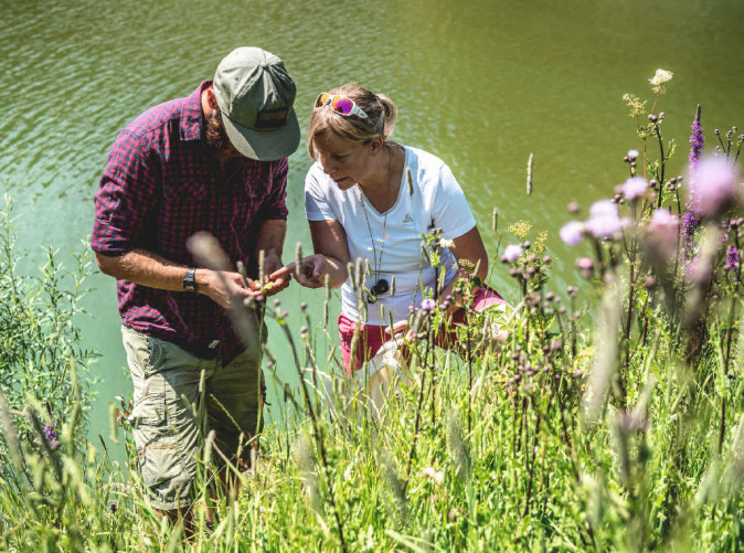 0021_ST_3x2_Charmey-Collecting-Kraeuter_38426