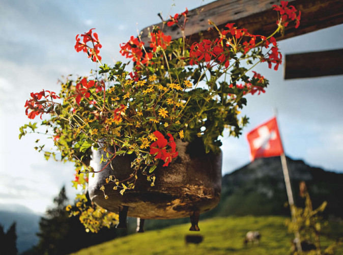 0026_ST_3x2_Gruyere-Pays-dEnhaut-Nature-Park_19916