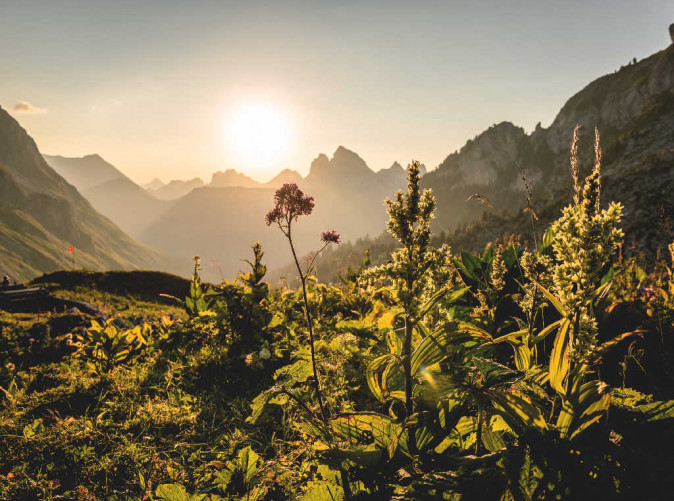 0022_ST_3x2_Charmey-Cabane-Marindes_38455