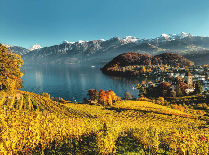 0042_ST_Spiez-autumn-panorama_31427