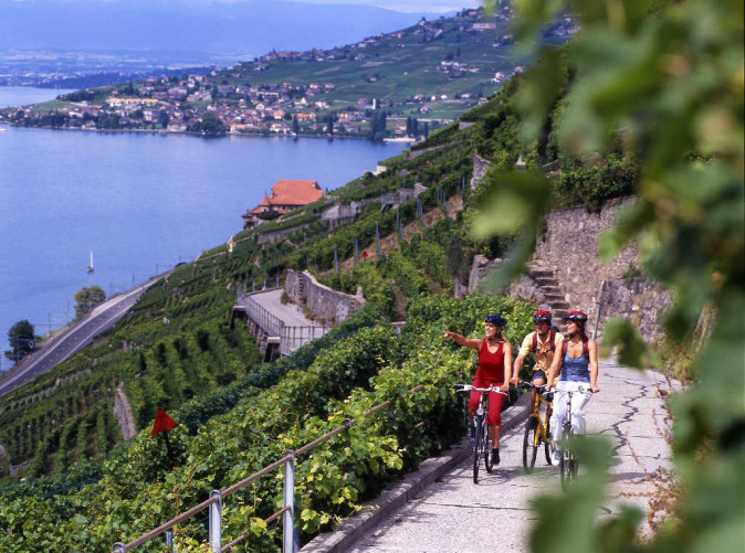 0025_velo_31839286924_o