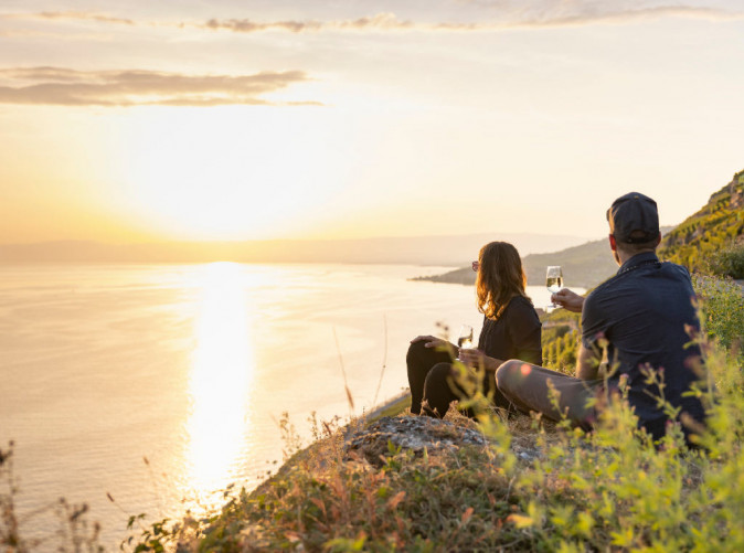 0040_ST_3x2_Lavaux-vineyards_75390
