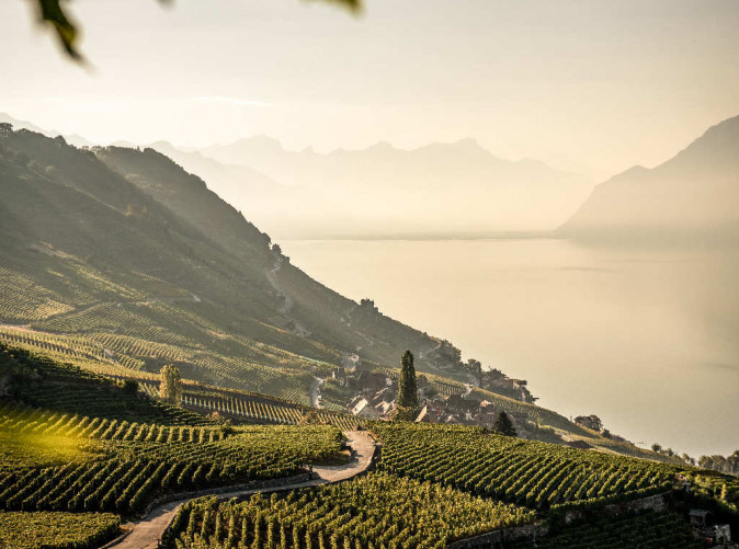 0041_switzerland-cities-epesses-lavaux_53083225616_o