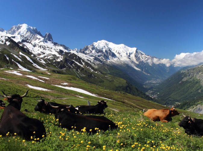 0040_MontBlanc-Pixabay