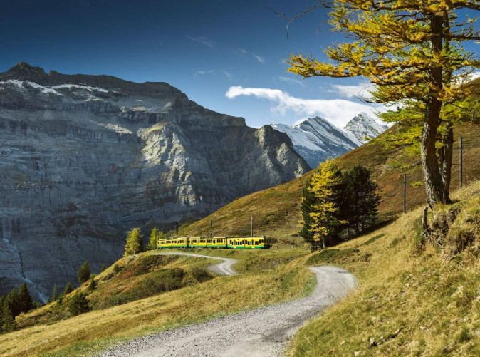 0061_Wengernalpbahn-Zug-in-der-Ferne