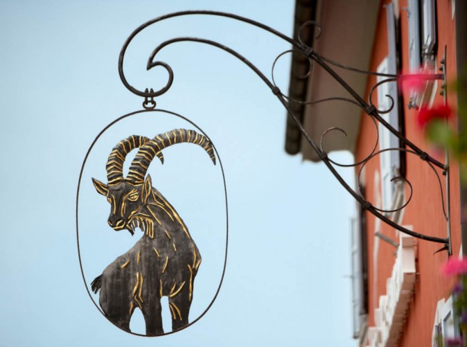 Steinbock_Aussenansicht