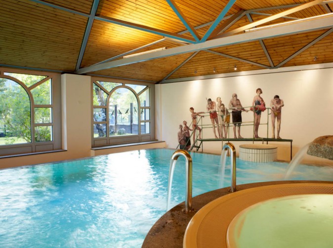 Steinbock_Swimmingpool