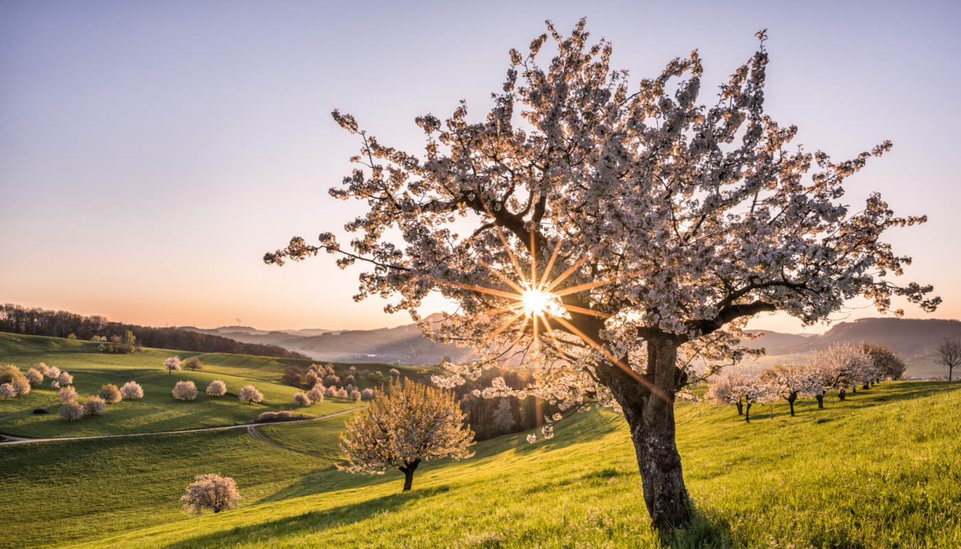 Schoene Aussichten Touristik Schweiz sts0042517 1400 200