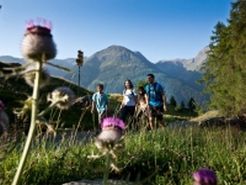 Wanderurlaub in der Schweiz für Bewegungsfreudige