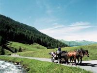 Barrierefreie Reisen Sommer