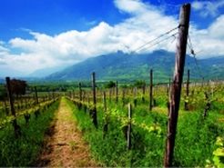 Bündner Wochenende mit Natur, Wein & Genuss