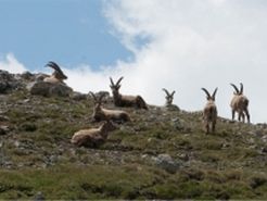 Nationalpark hautnah erleben 